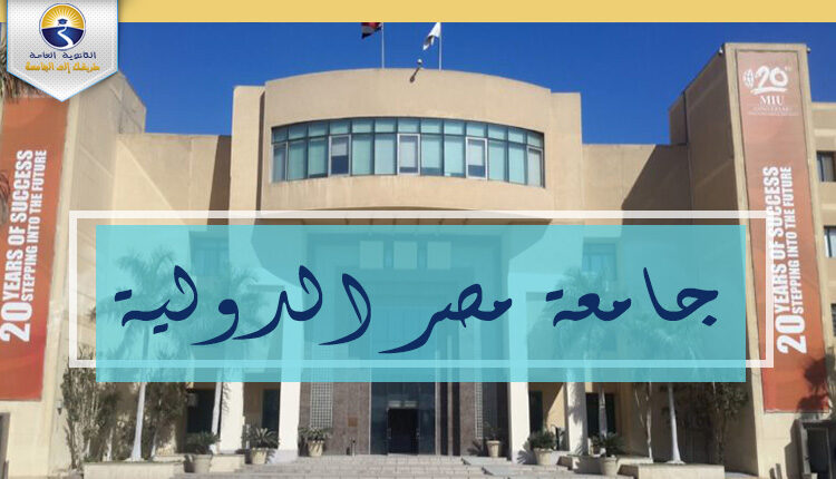 جامعة مصر الدولية